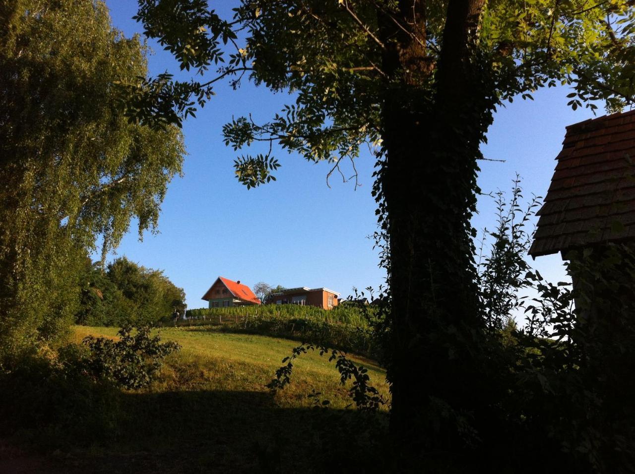 Ferienhaeuser Im Weingarten Fehring Exterior foto
